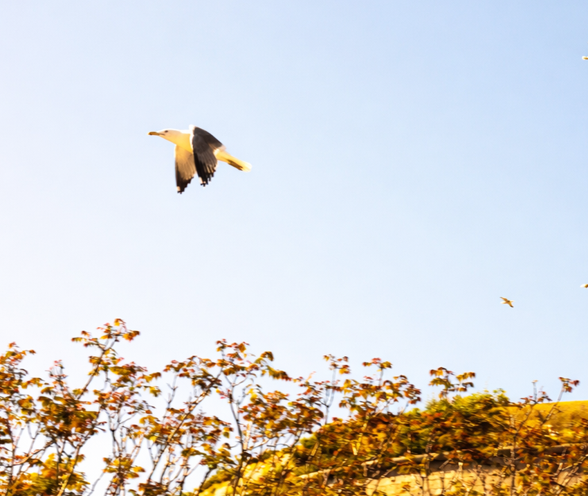 <span style="font-weight: bold;">Прекрасный инструктор ЗГ&nbsp;</span>